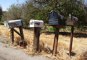 Winter Mailbox