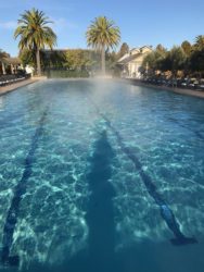 Calistoga:  After the Fires