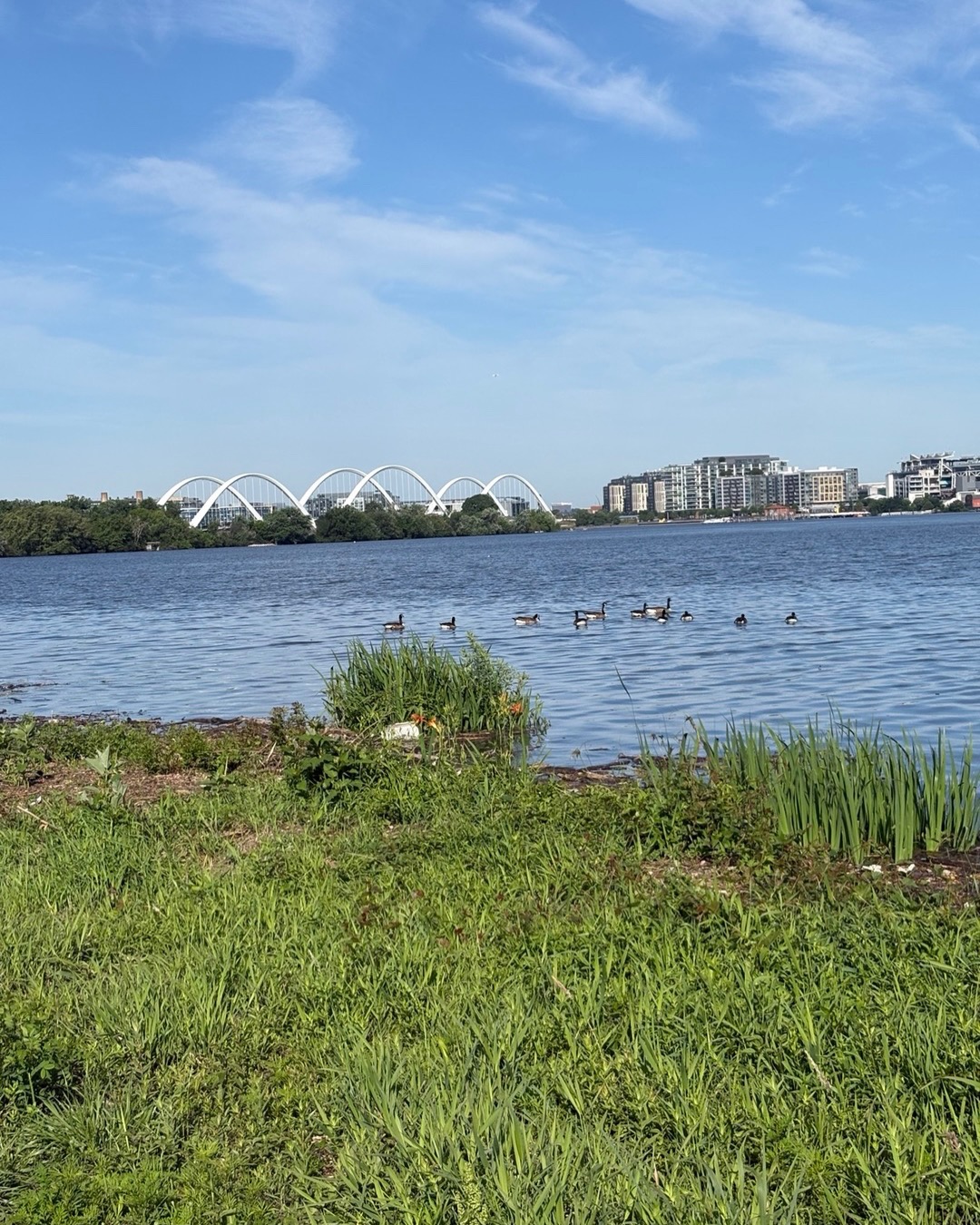 Read more about the article Visiting the National Capital